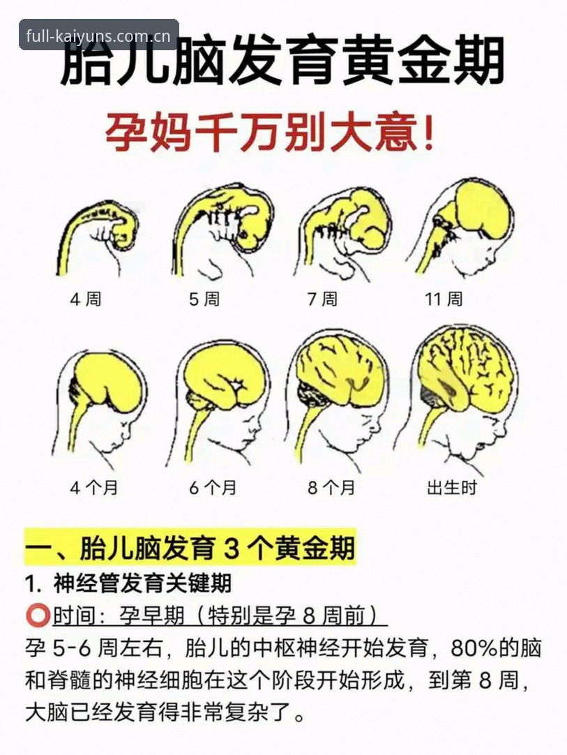 开云体育最新版推荐 3个关键步骤助你掌握开云体育最新版推荐的核心功能